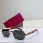Cartier Rimless Grain Temple Gradient CT0362 Sunglasses For Men Women - Image 2