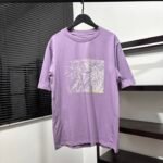 Arc'Teryx Vintage Distressed Graphic Print Crew Neck Men's Short Sleeve T-shirt Purple