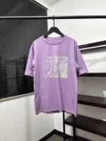 Arc'Teryx Vintage Distressed Graphic Print Crew Neck Men's Short Sleeve T-shirt Purple